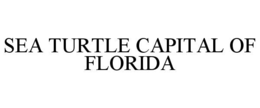 SEA TURTLE CAPITAL OF FLORIDA