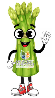 HS HARVEST SENSATIONS SENSATIONALLY FRESH