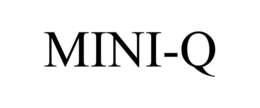 MINI-Q