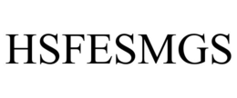 HSFESMGS