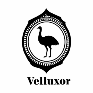 VELLUXOR