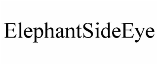 ELEPHANTSIDEEYE