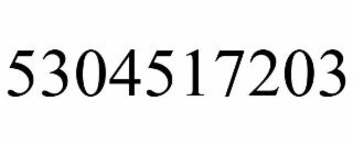 5304517203