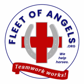 FLEET OF ANGELS .ORG TEAMWORK WORKS! WE HELP HORSES.