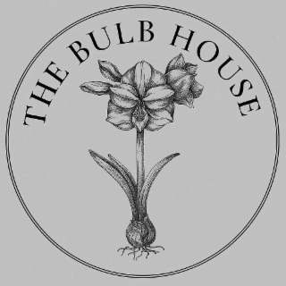 THE BULB HOUSE
