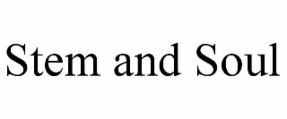 STEM AND SOUL