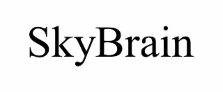 SKYBRAIN