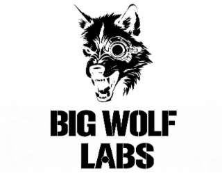 BIG WOLF LABS