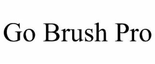 GO BRUSH PRO