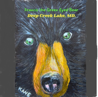 FRANCIS THE GREEN EYED BEAR