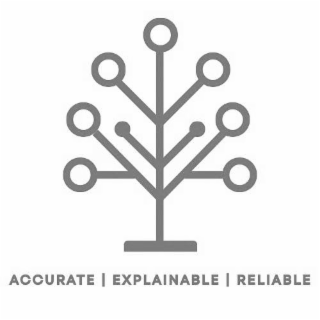 ACCURATE I EXPLAINABLE I RELIABLE