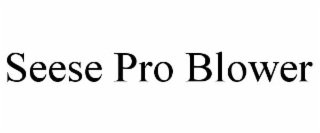 SEESE PRO BLOWER