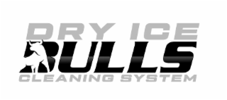DRY ICE BULLS CLEANING SYSTEM