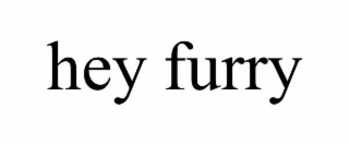 HEY FURRY