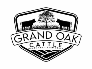 GRAND OAK CATTLE