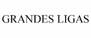 GRANDES LIGAS