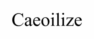 CAEOILIZE