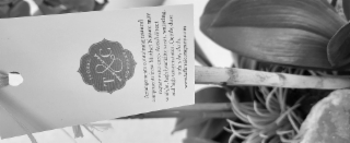 COMPONENTS FROM MOTHER NATURE MAY WWW.TCHLORALCOMPANY.COM REQUIRE EXTRA CARE. AVOID DIRECT WITH A DRY CLOTH. FLORAL ARRANGEMENTS CONTAINING NATURAL SUNLIGHT, HIGH HUMIDITY AREAS, WATERING, AND HIGH TEMPERATURES. GENTLY DUST COMPANY T