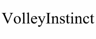 VOLLEYINSTINCT