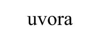 UVORA