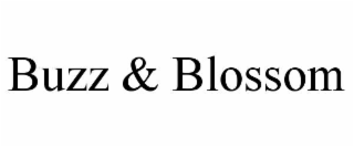 BUZZ & BLOSSOM