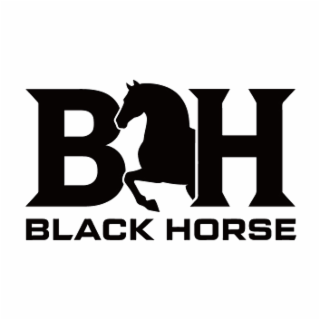 BLACK HORSE