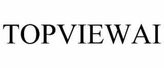 TOPVIEWAI