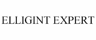 ELLIGINT EXPERT