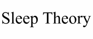 SLEEP THEORY