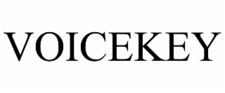 VOICEKEY