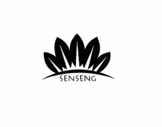 SENSENG