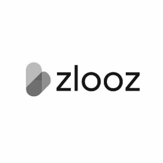 ZLOOZ