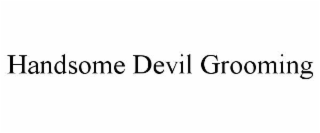 HANDSOME DEVIL GROOMING
