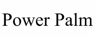 POWER PALM