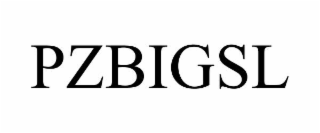 PZBIGSL