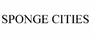 SPONGE CITIES