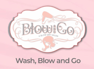 BLOW AND GO A BLOW DRY SALON, WASH, BLOW AND GO