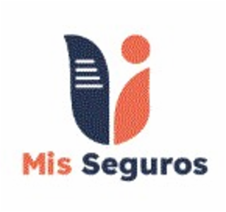 MIS SEGUROS