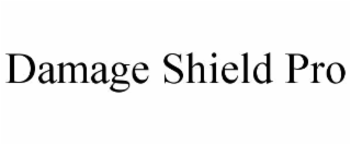DAMAGE SHIELD PRO