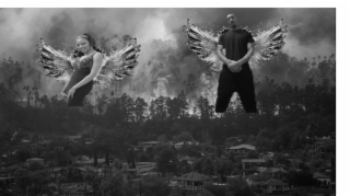 J N M FOREST AND HOME PROTECTION SYSTEM