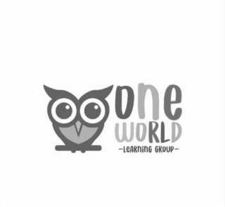 ONE WORLD LEARNING GROUP