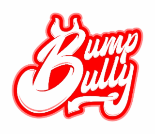 BUMP BULLY