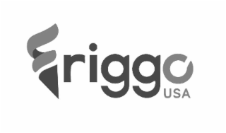 FRIGGO USA