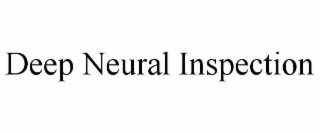 DEEP NEURAL INSPECTION