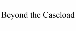 BEYOND THE CASELOAD