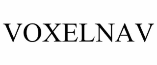 VOXELNAV