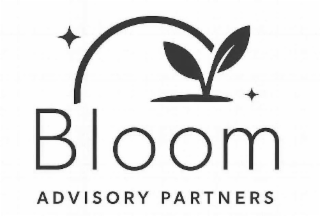 BLOOM ADVISORY PARTNERS