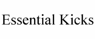 ESSENTIAL KICKS