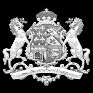 EATON INTERNATIONAL GROUP, LLC