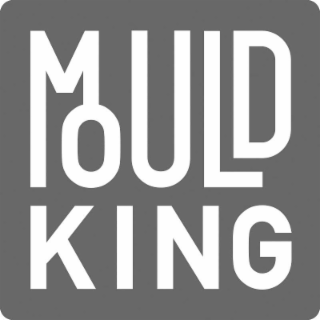 MOULD KING